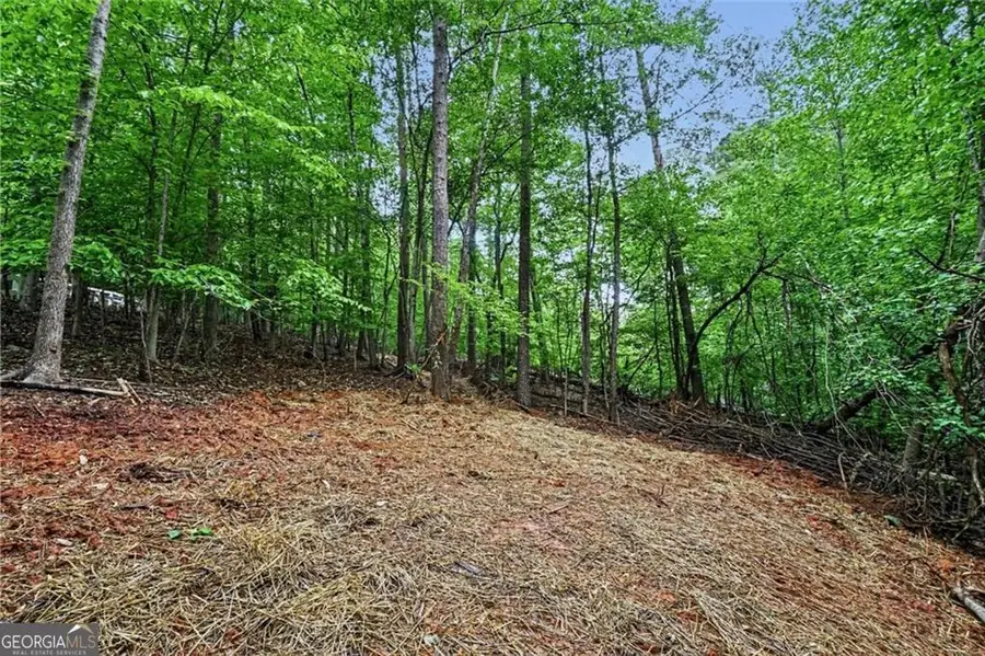 3838 Wesley Chapel Road, Marietta, GA 30062 - #2