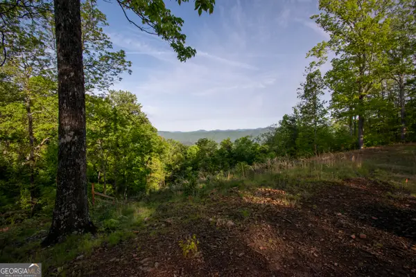 43/44 Timberwood Mountain Estates, Marble, NC 28905