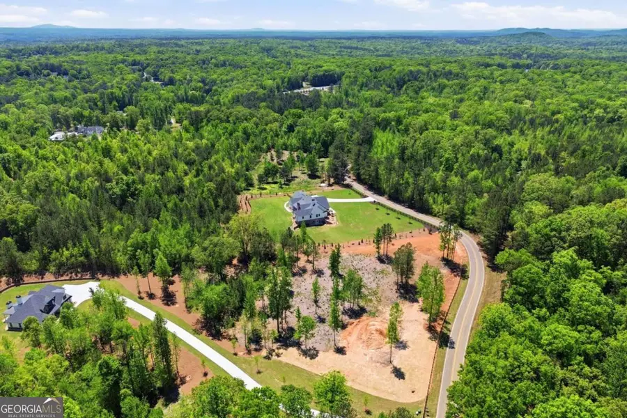 460 Mt. Olive Church Lane, White, GA 30184 - #3