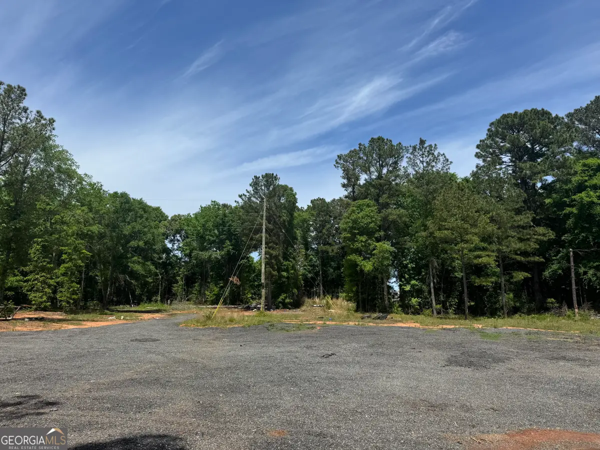 1079 S Highway 87, Flovilla, GA 30216 - #1