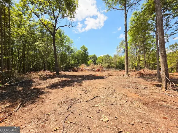 148 Berry Road #LOT 12A, Barnesville, GA 30204