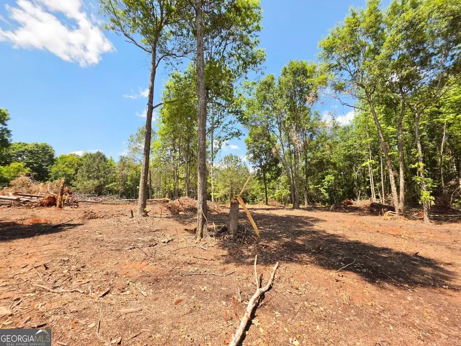 148 Berry Road #LOT 12A, Barnesville, GA 30204 - #2