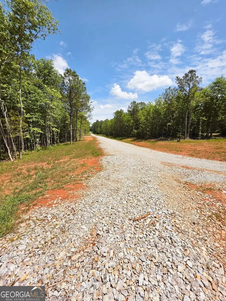 148 Berry Road #LOT 12A, Barnesville, GA 30204 - #3