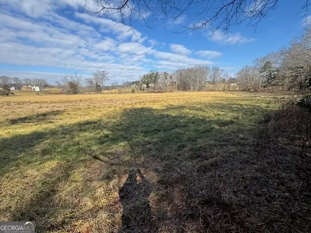 7 ACRES Wheeler Road, Demorest, GA 30535 - #2