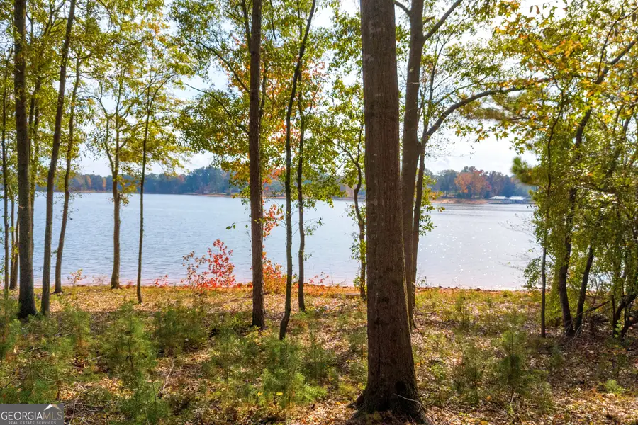 LOT 17 Sidney Point, Hartwell, GA 30643 - #3
