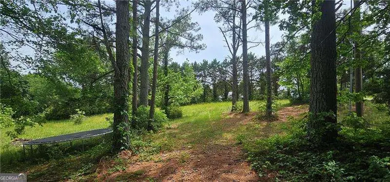 496 Blalock Road Se, Adairsville, GA 30103 - #3