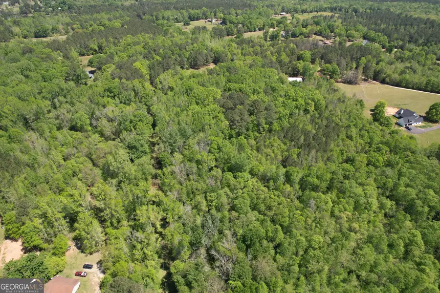 2310 Hollonville, Williamson, GA 30292 - #2
