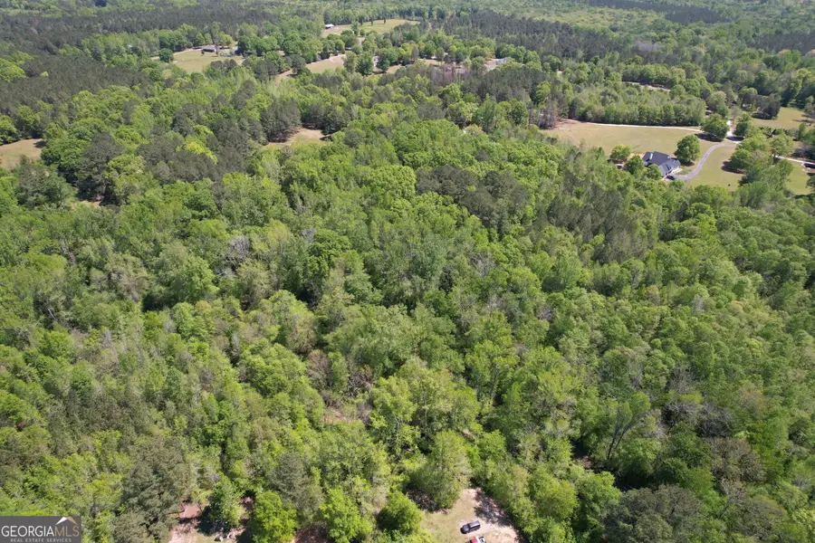 2310 Hollonville, Williamson, GA 30292 - #3