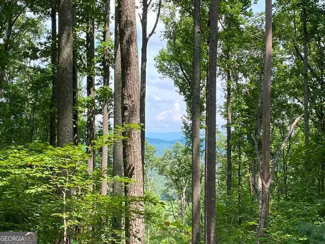 LOT 1 High Country Lane, Morganton, GA 30560 - #2