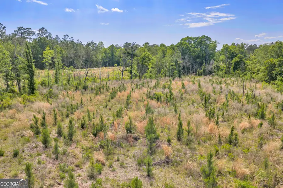0 Us 82, Sylvester, GA 31791 - #2