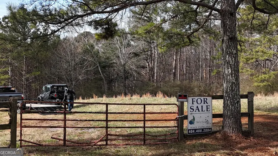 0 Narroway Church Circle #LOT 2 (SOUTHERN 38.72 AC, Dallas, GA 30132 - #3