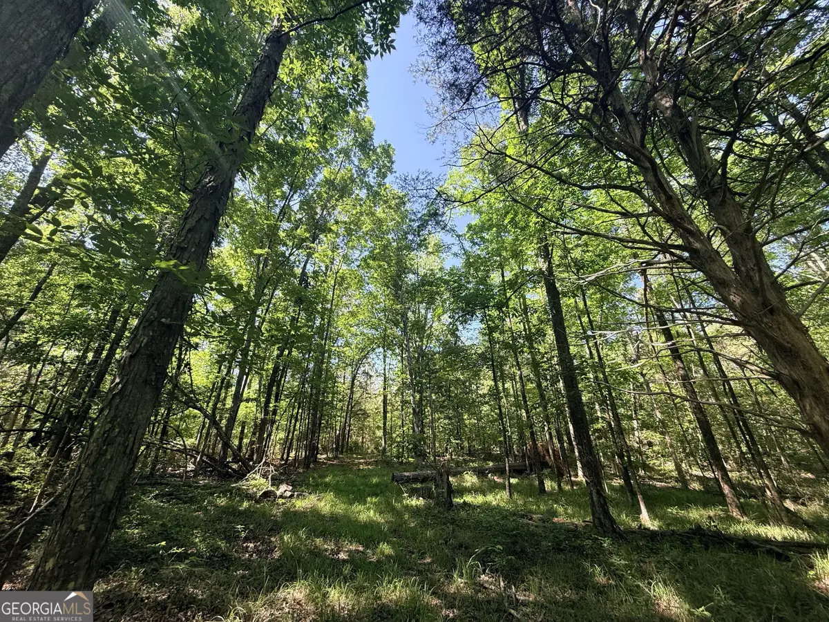 580 Saggus Road, Washington, GA 30673 - #1
