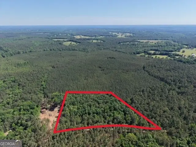 580 Saggus Road, Washington, GA 30673 - #2