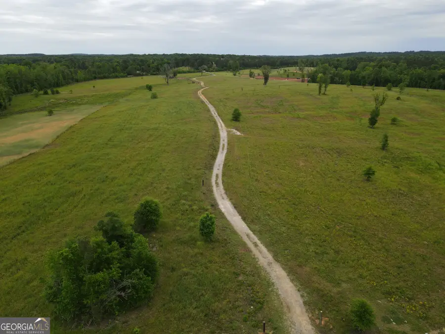 1120 Julia Jordan Road, Roberta, GA 31078 - #3
