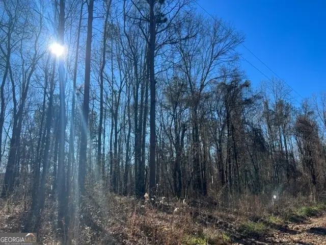 0 Creek Road, Ashland, AL 36251 - #3