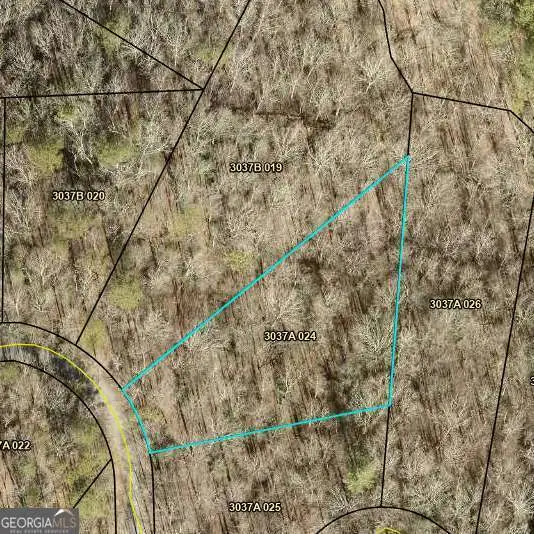 0 Catawba Circle, Ellijay, GA 30540