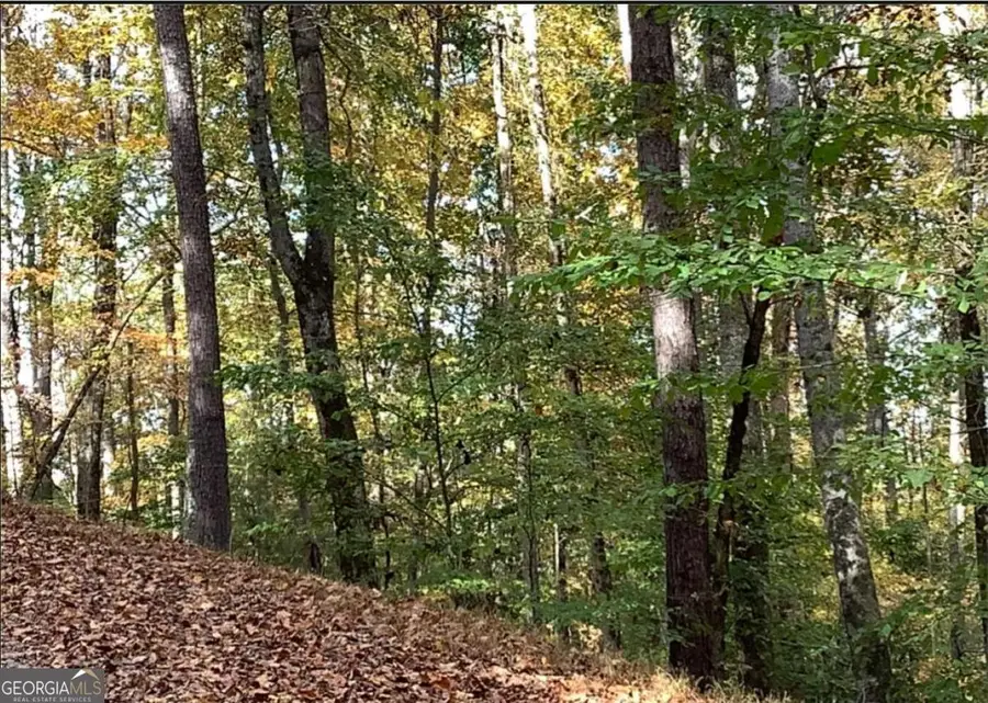 0 Catawba Circle, Ellijay, GA 30540 - #2