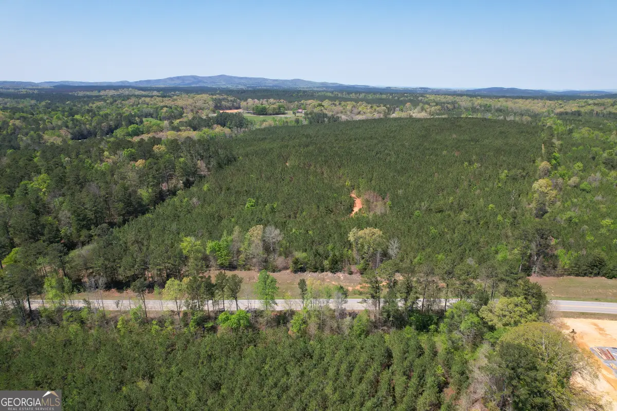 71 +/- Acres On Us Hwy 278, Cedartown, GA 30125 - #1