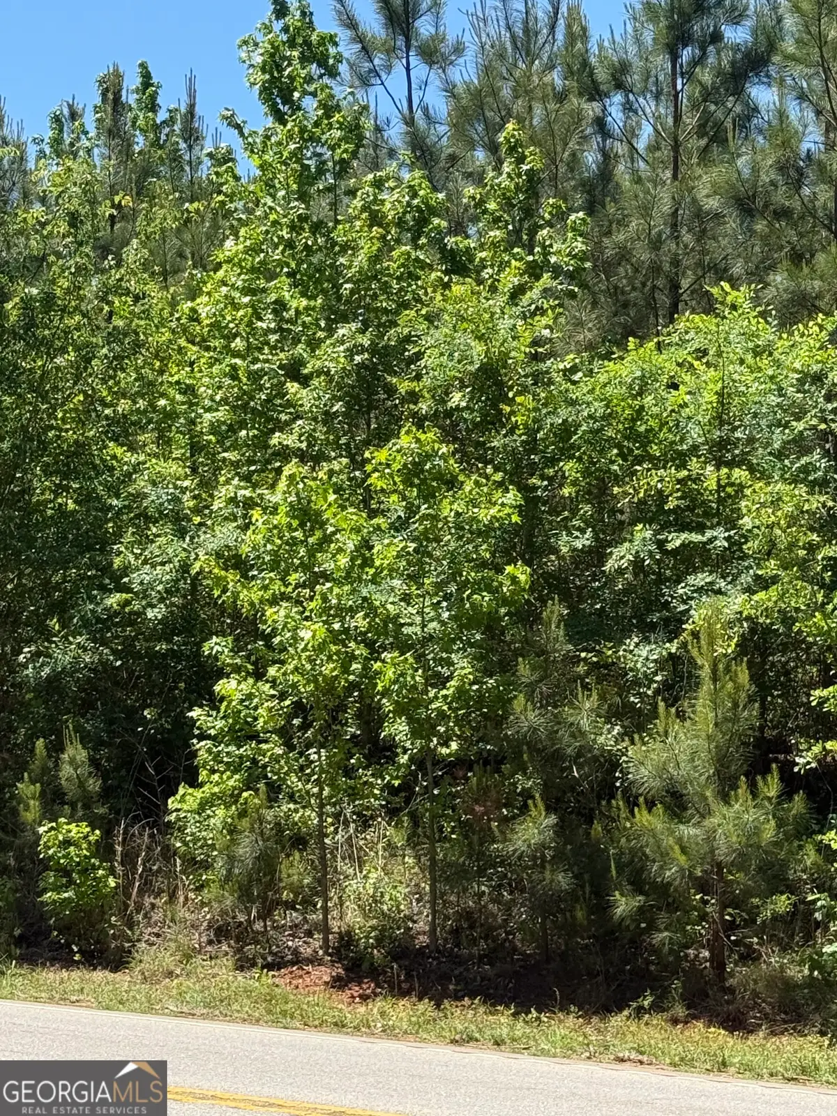10 ACRES Woodbury Hwy, Greenville, GA 30222 - #1