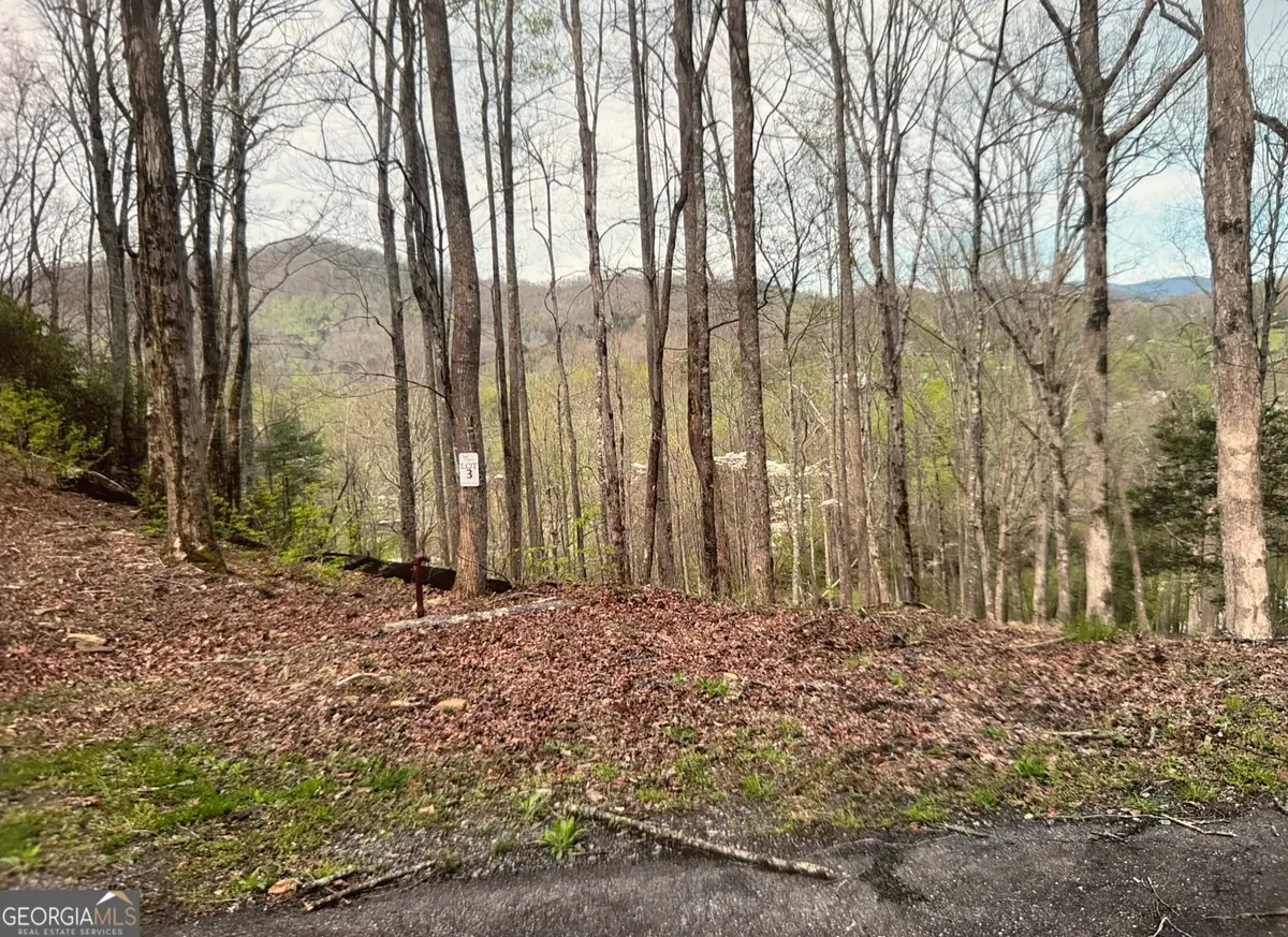 LOT 3 Buckhead Hills, Hiawassee, GA 30546 - #1
