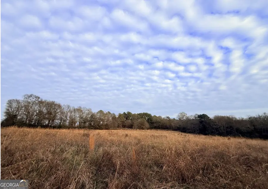 0 Bowman Highway, Dewy Rose, GA 30634 - #2