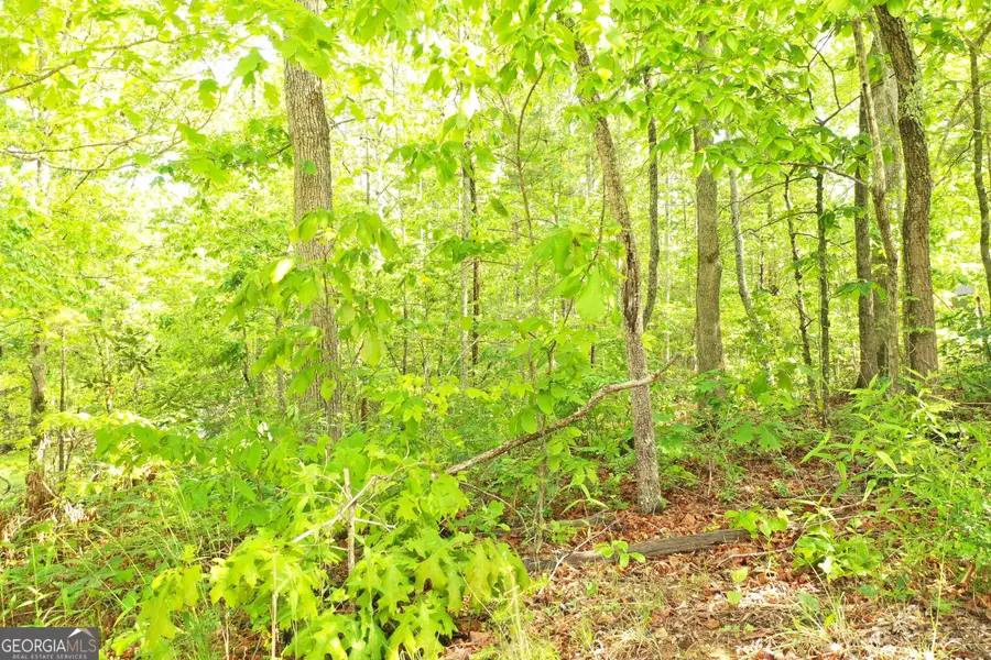 20 Eden Woods, Clarkesville, GA 30523 - #3