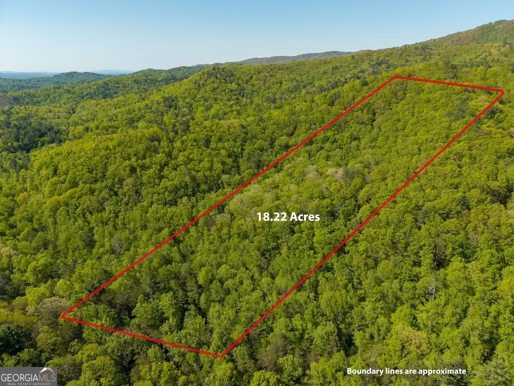 TR 1 Pleasant Hill Trail, Ellijay, GA 30540 - #1