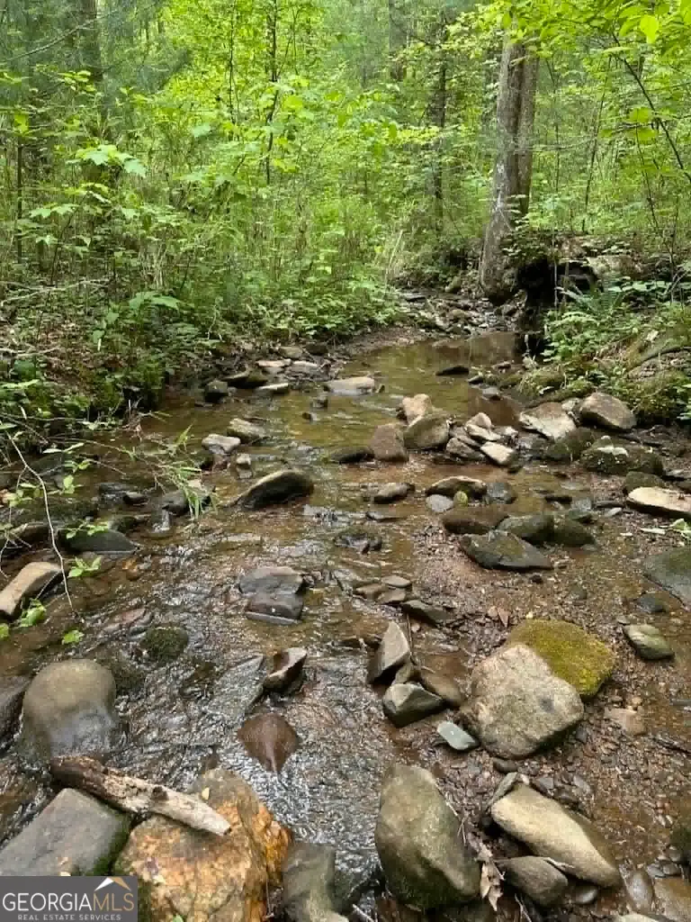 TR 1 Pleasant Hill Trail, Ellijay, GA 30540 - #3