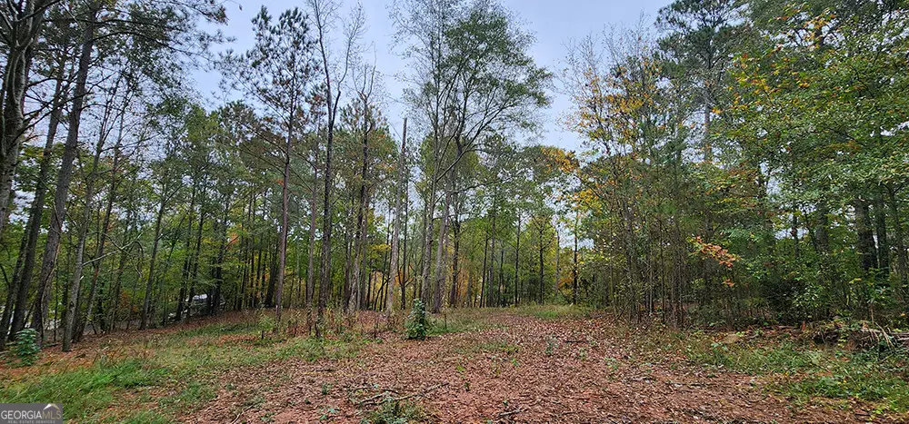 18 E Mourning Dove Court, Monticello, GA 31064 - #1