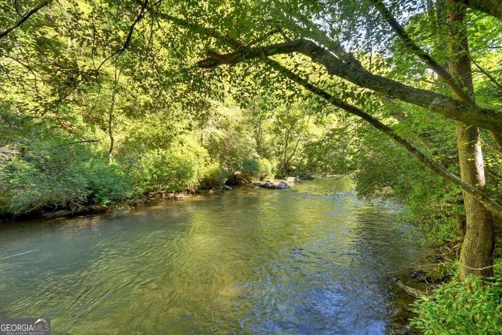 48 Riverwood Trail, Ellijay, GA 30540 - #1