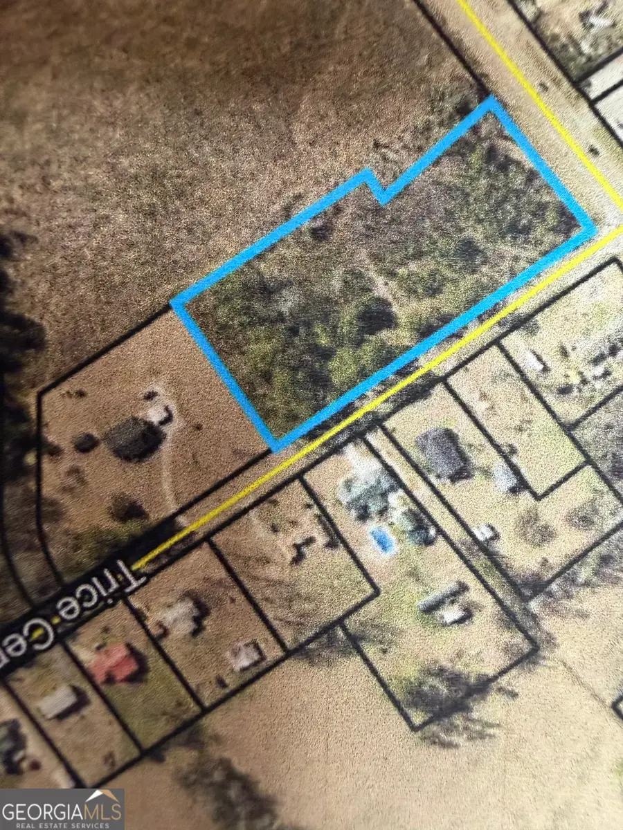 724 Trice Cemetary Road, Thomaston, GA 30286 - #2
