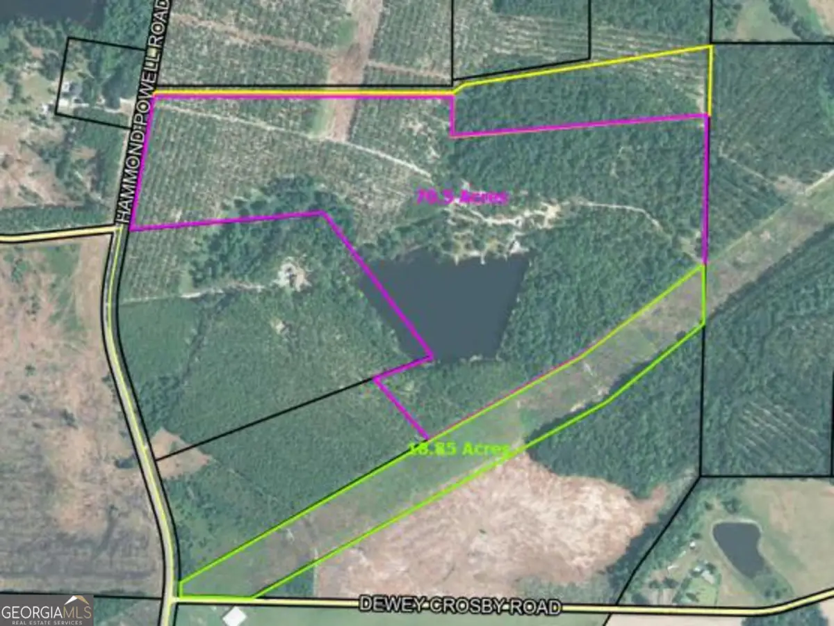 0 Hammond Powell Road, Hazlehurst, GA 31539 - #1