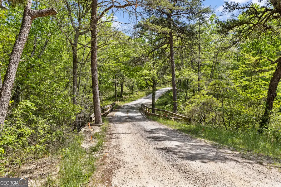 0 Neals Brow Road, Menlo, GA 30731 - #3