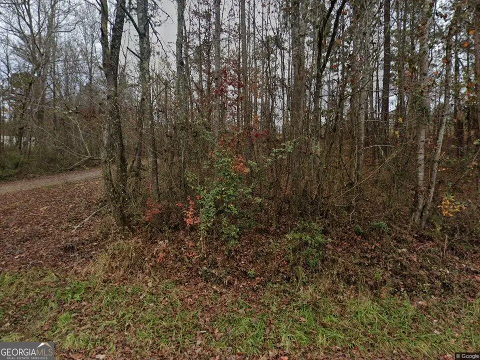 260 Woodruff Road, Carrollton, GA 30116 - #1
