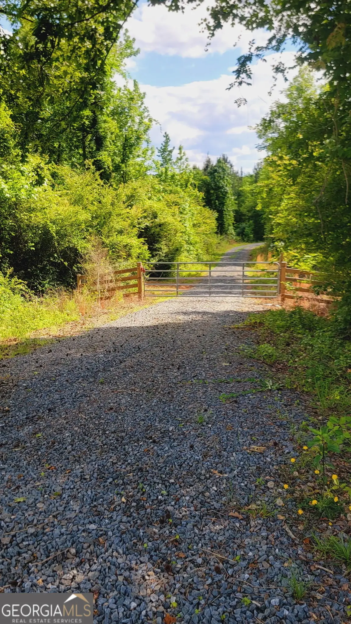 2455 Waymanville Rd., Thomaston, GA 30286 - #1