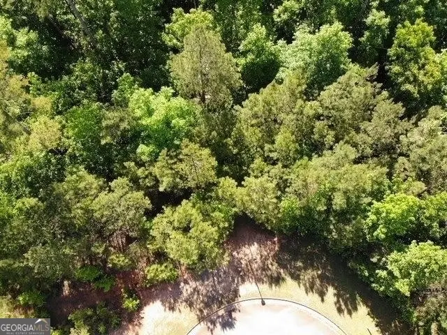 7731 Windswept Way, Douglasville, GA 30135 - #3