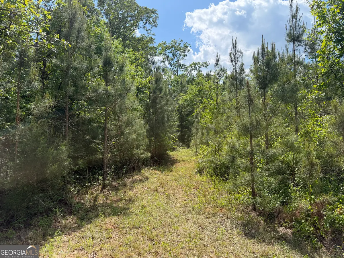 008 George Milling Road, Cuthbert, GA 39840 - #1