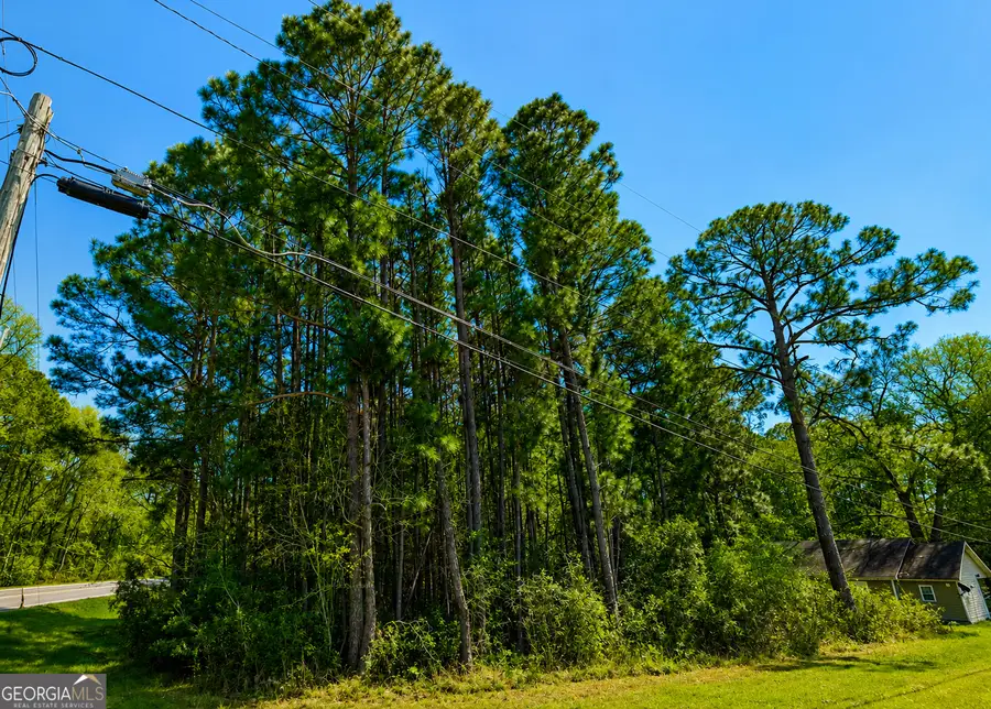 .77 ACRE Leary North Road, Ashburn, GA 31714 - #3