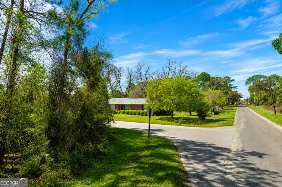 .80 ACRE Monnie Street, Ashburn, GA 31714 - #3