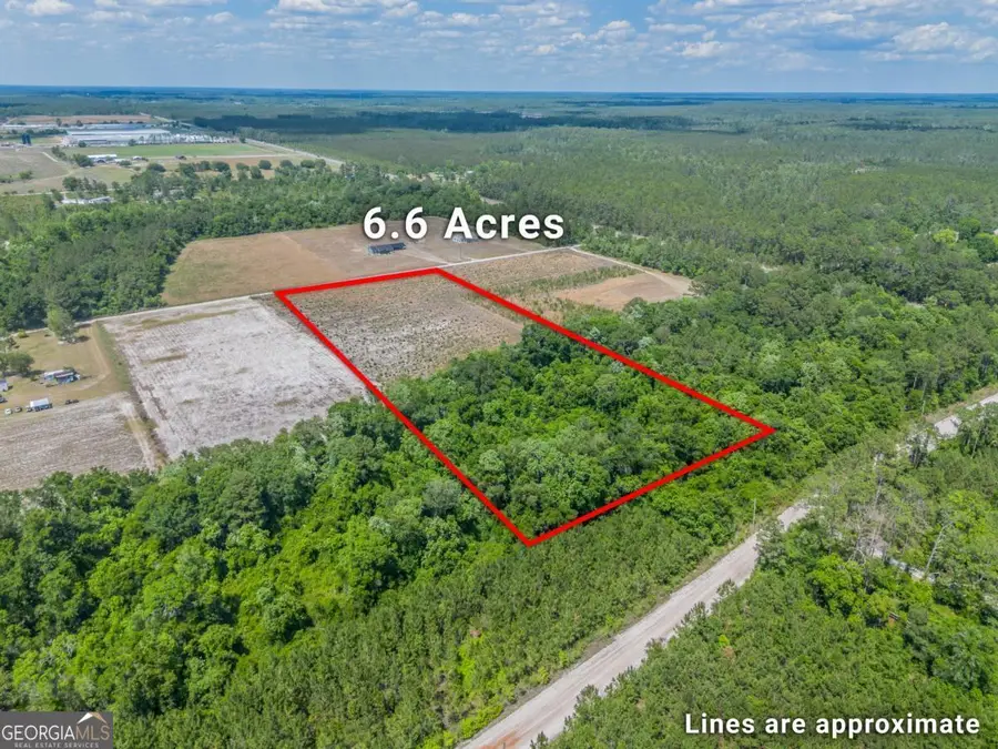 6.6 ACRES Bert Road, Hoboken, GA 31542 - #2
