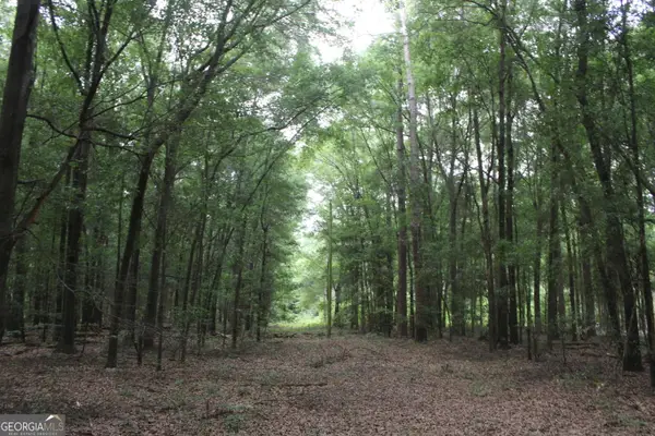 0 S State Route 49 Road, Oglethorpe, GA 31068
