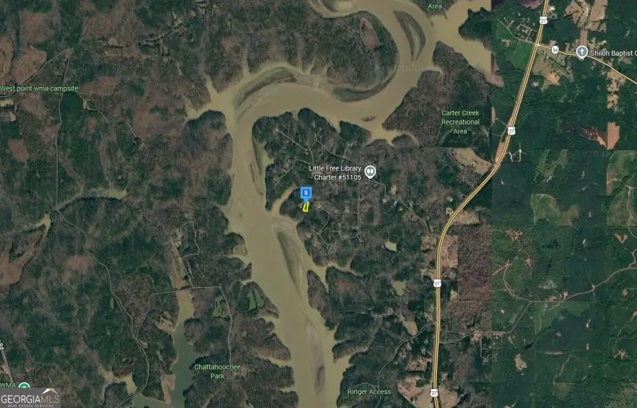 251 S Chattahooc Ee Drive, Hogansville, GA 30230 - #3