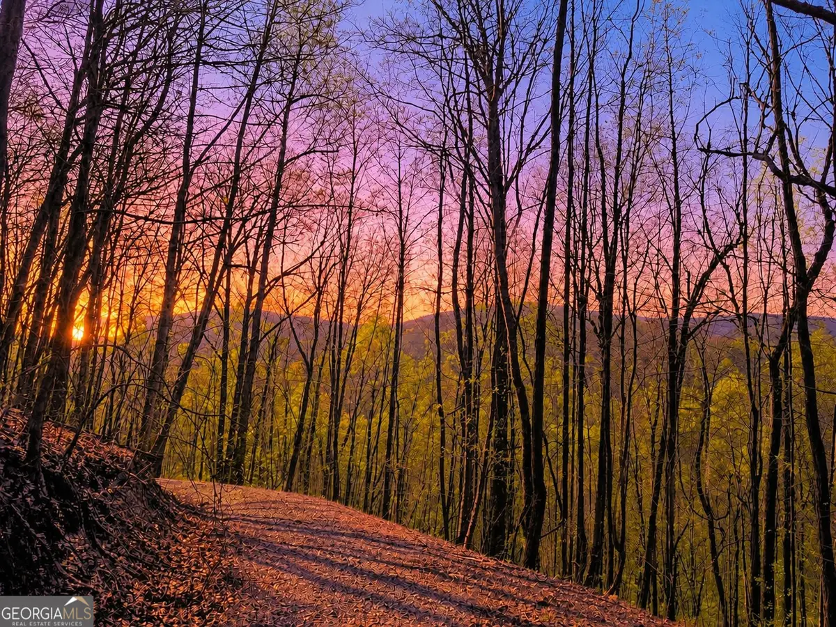 29 AC Hidden Valley Drive #00, Ellijay, GA 30536 - #1