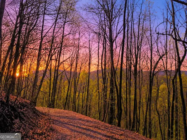 29 AC Hidden Valley Drive #00, Ellijay, GA 30536