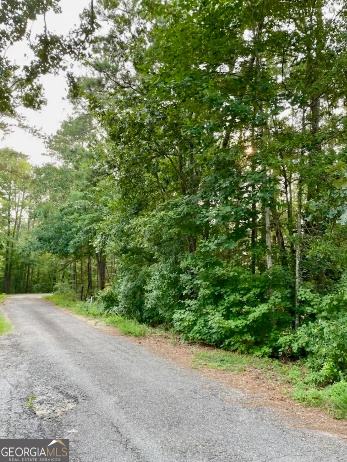 0 Davis Street, Monticello, GA 31064 - #1