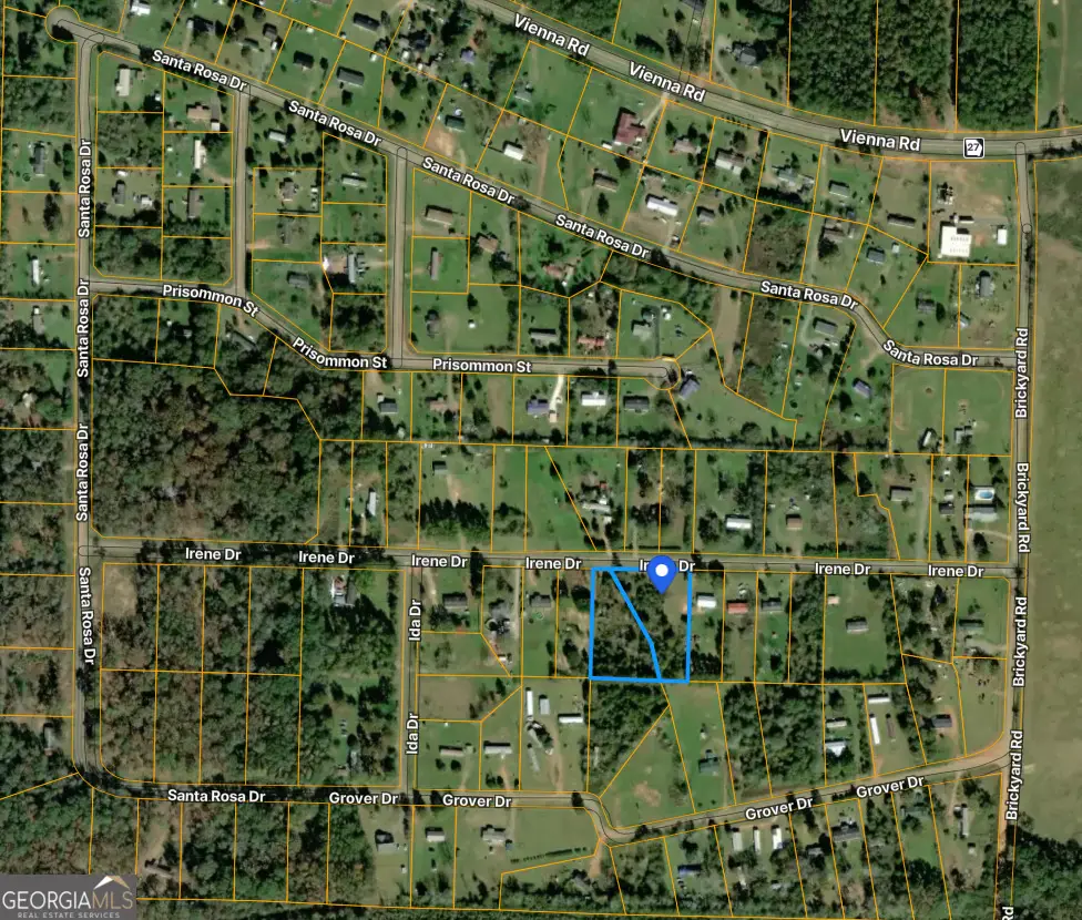 141 Irene Drive, Americus, GA 31709 - #1