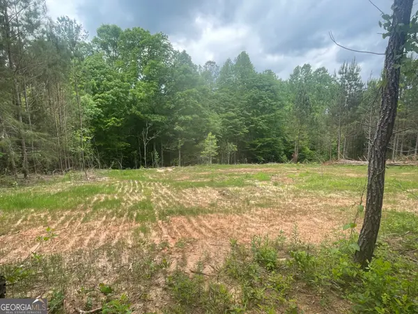 0 Bevis Rd Parcel 9, Franklin, GA 30217