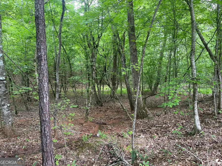 0 Bevis Rd Parcel 9, Franklin, GA 30217 - #2
