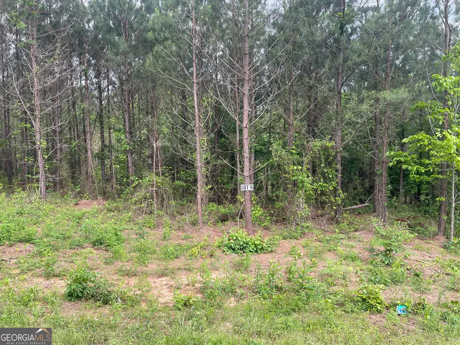 0 Bevis Rd Parcel 9, Franklin, GA 30217 - #3