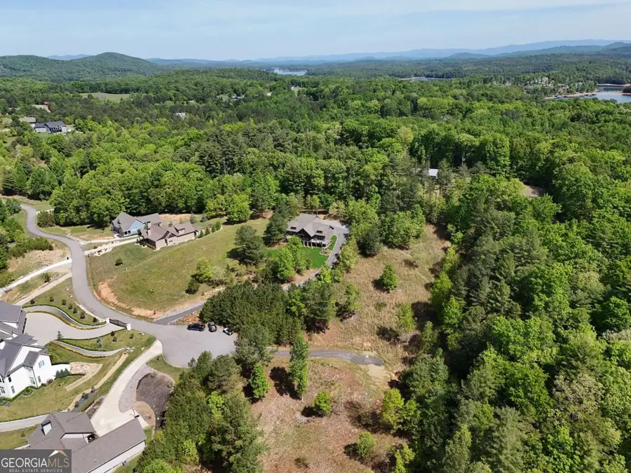 LOT 101 Big Knoll Drive, Blairsville, GA 30512 - #3